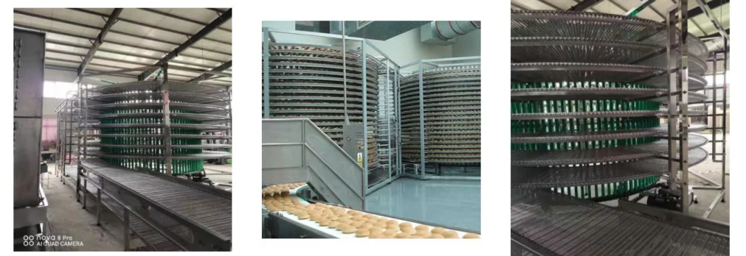 CE Bread Spiral Cooling Screw Conveyor